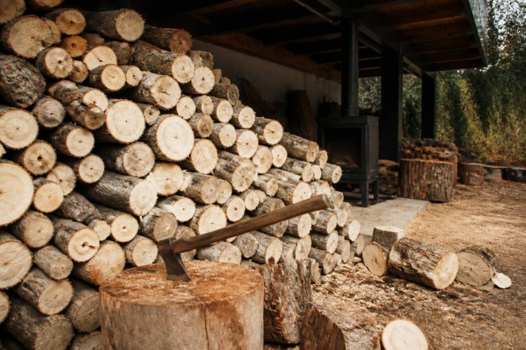 Albizia comme bois de chauffage : les raisons de son utilisation déconseillée
