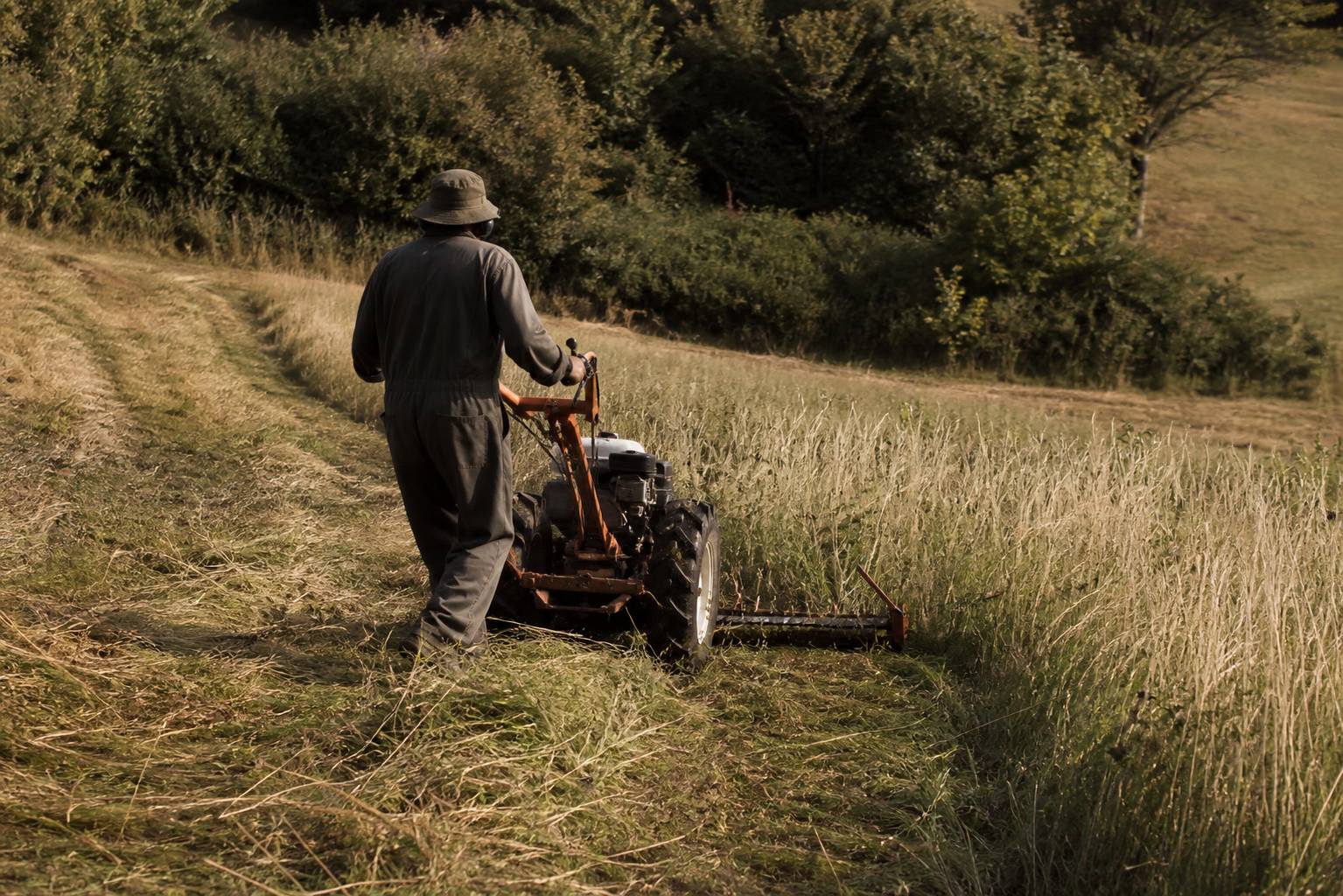 Motofaucheuse en action fauchant une prairie en terrain irrégulier avec talus